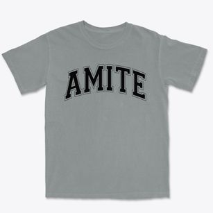 Amite Elementary School Varsity Arch Premium Heavyweight T-shirt