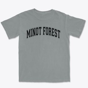 Minot Forest Elementary School Varsity Arch Premium Heavyweight T-shirt