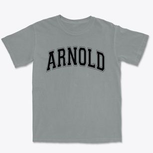 Arnold Elementary School Varsity Arch Premium Heavyweight T-shirt