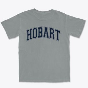 Hobart Elementary School Varsity Arch Premium Heavyweight T-shirt