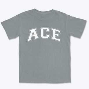 Ace Charter High School Varsity Arch Premium Heavyweight T-shirt