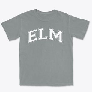 Elm Middle School Varsity Arch Premium Heavyweight T-shirt