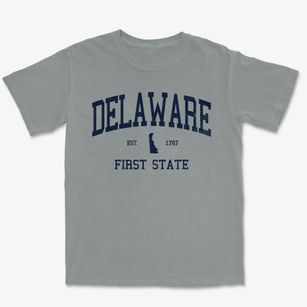  Delaware Slogan Premium Heavyweight T-shirt