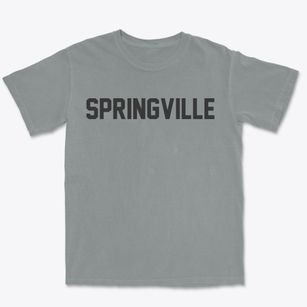 Springville Virginia Classic Block Premium Heavyweight T-shirt