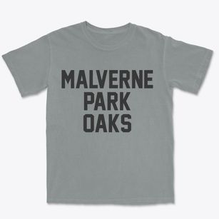 Malverne Park Oaks New York Classic Block Premium Heavyweight T-shirt