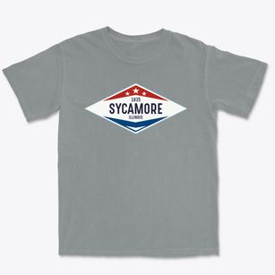 Sycamore Illinois Diamond Star Premium Heavyweight T-shirt