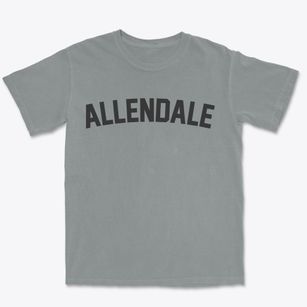 Allendale Missouri Classic Curve Premium Heavyweight T-shirt