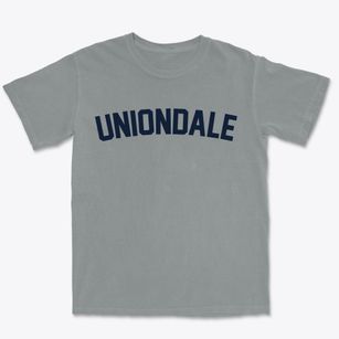 Uniondale New York Classic Curve Premium Heavyweight T-shirt