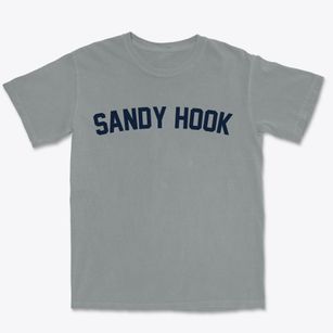 Sandy Hook Wisconsin Classic Curve Premium Heavyweight T-shirt