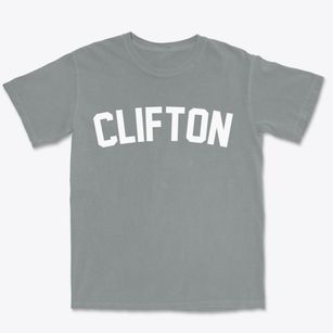 Clifton Idaho Classic Curve Premium Heavyweight T-shirt