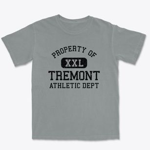 Tremont Pennsylvania Athletic Dept Premium Heavyweight T-shirt