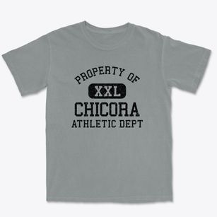 Chicora Pennsylvania Athletic Dept Premium Heavyweight T-shirt