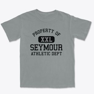 Seymour Illinois Athletic Dept Premium Heavyweight T-shirt
