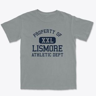 Lismore Minnesota Athletic Dept Premium Heavyweight T-shirt