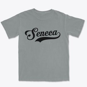 Seneca Illinois Vintage Team Premium Heavyweight T-shirt