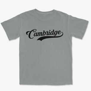 Cambridge New York Vintage Team Premium Heavyweight T-shirt
