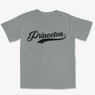 Princeton North Carolina Vintage Team Premium Heavyweight T-shirt