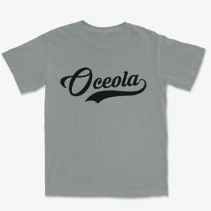 Oceola Ohio Vintage Team Premium Heavyweight T-shirt