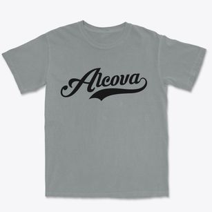 Alcova Wyoming Vintage Team Premium Heavyweight T-shirt