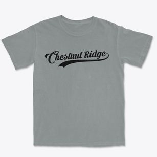 Chestnut Ridge New York Vintage Team Premium Heavyweight T-shirt