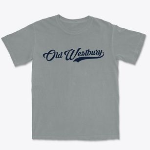Old Westbury New York Vintage Team Premium Heavyweight T-shirt