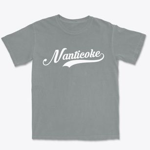 Nanticoke New York Vintage Team Premium Heavyweight T-shirt