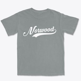 Norwood New York Vintage Team Premium Heavyweight T-shirt