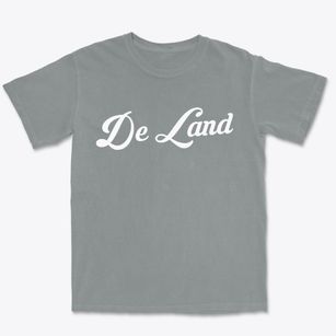 De Land Illinois Vintage Team Premium Heavyweight T-shirt