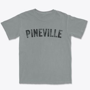 Pineville Arkansas Timeless Retro Premium Heavyweight T-shirt