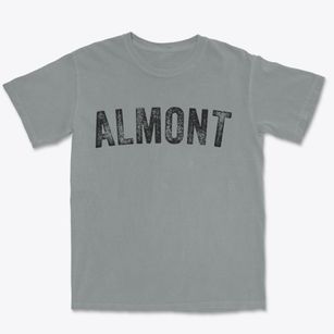 Almont North Dakota Timeless Retro Premium Heavyweight T-shirt