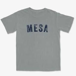 Mesa Arizona Timeless Retro Premium Heavyweight T-shirt