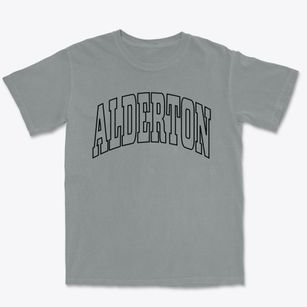 Alderton Washington Trendy Block Premium Heavyweight T-shirt