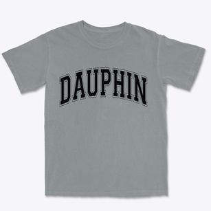 Dauphin Pennsylvania Varsity Premium Heavyweight T-shirt