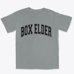 Box Elder South Dakota Varsity Premium Heavyweight T-shirt
