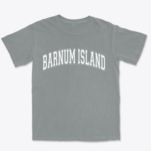 Barnum Island New York Varsity Premium Heavyweight T-shirt