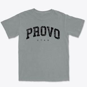 Provo Utah Urban Vibe Premium Heavyweight T-shirt