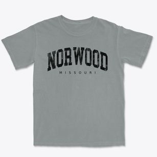 Norwood Missouri Urban Vibe Premium Heavyweight T-shirt