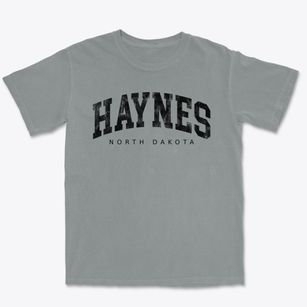 Haynes North Dakota Urban Vibe Premium Heavyweight T-shirt