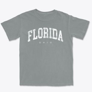 Florida Ohio Urban Vibe Premium Heavyweight T-shirt
