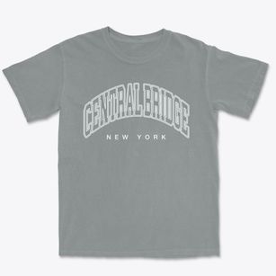 Central Bridge New York Inline Premium Heavyweight T-shirt