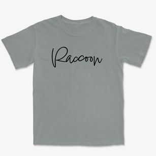 Raccoon Pennsylvania Freestyle Premium Heavyweight T-shirt