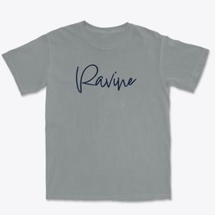 Ravine Pennsylvania Freestyle Premium Heavyweight T-shirt