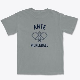 Ante Virginia Pickleball Premium Heavyweight T-shirt