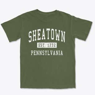 Sheatown Pennsylvania Classic Established Premium Heavyweight T-shirt
