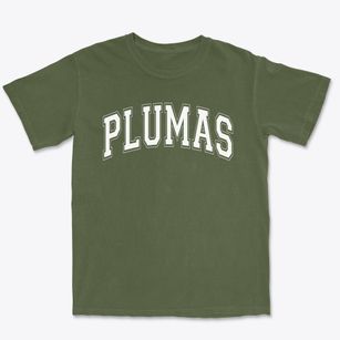 Plumas Charter School Varsity Arch Premium Heavyweight T-shirt