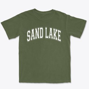 Sand Lake Elementary School Varsity Arch Premium Heavyweight T-shirt