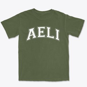 Academy For Early Learning Independent Chartered School Varsity Arch Premium Heavyweight T-shirt