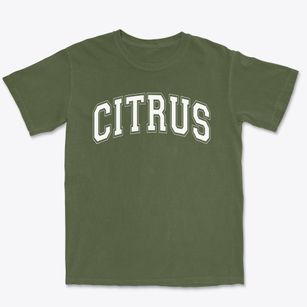 Citrus High School Varsity Arch Premium Heavyweight T-shirt