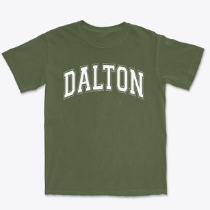 Dalton Elementary School Varsity Arch Premium Heavyweight T-shirt