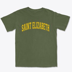 Saint Elizabeth Elementary And Middle School Varsity Arch Premium Heavyweight T-shirt